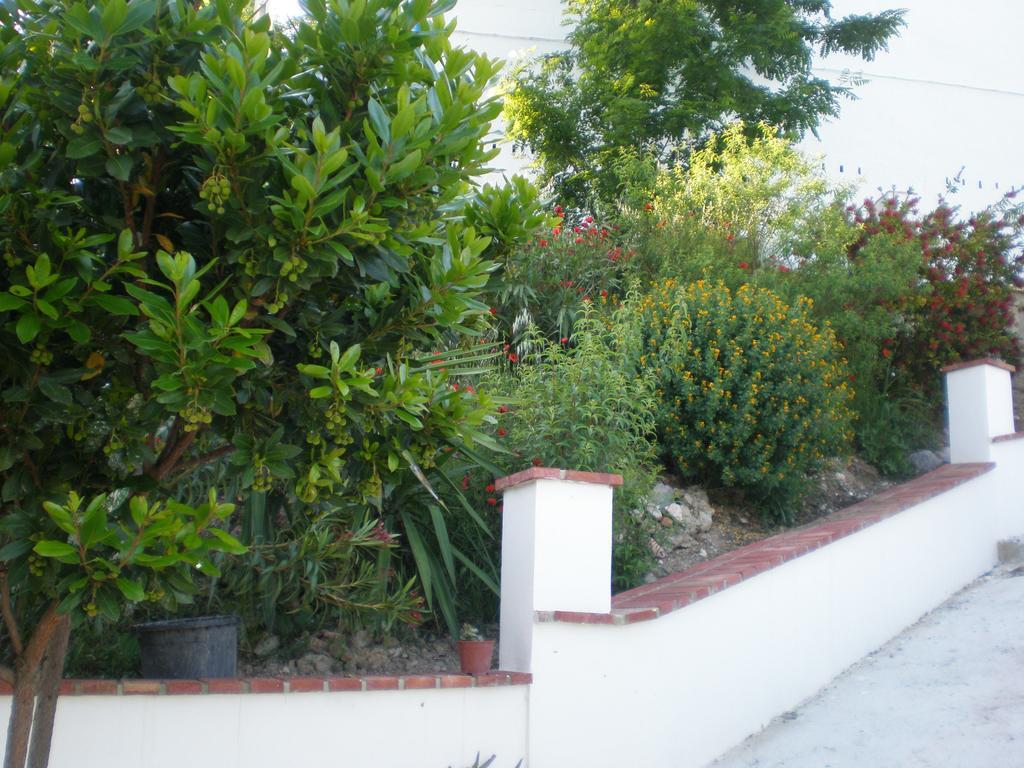 Apartamentos Rurales El Cañuelo de Carcabuey Habitación foto