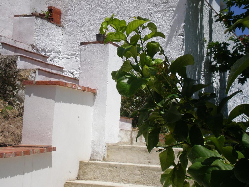 Apartamentos Rurales El Cañuelo de Carcabuey Habitación foto